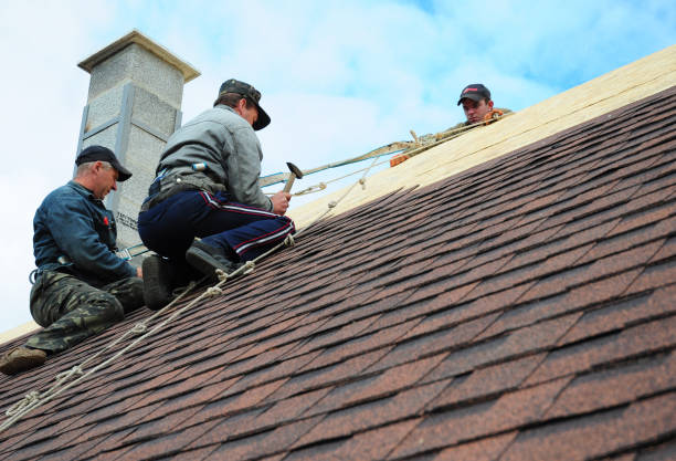 Best Emergency Roof Repair  in Redwood, OR